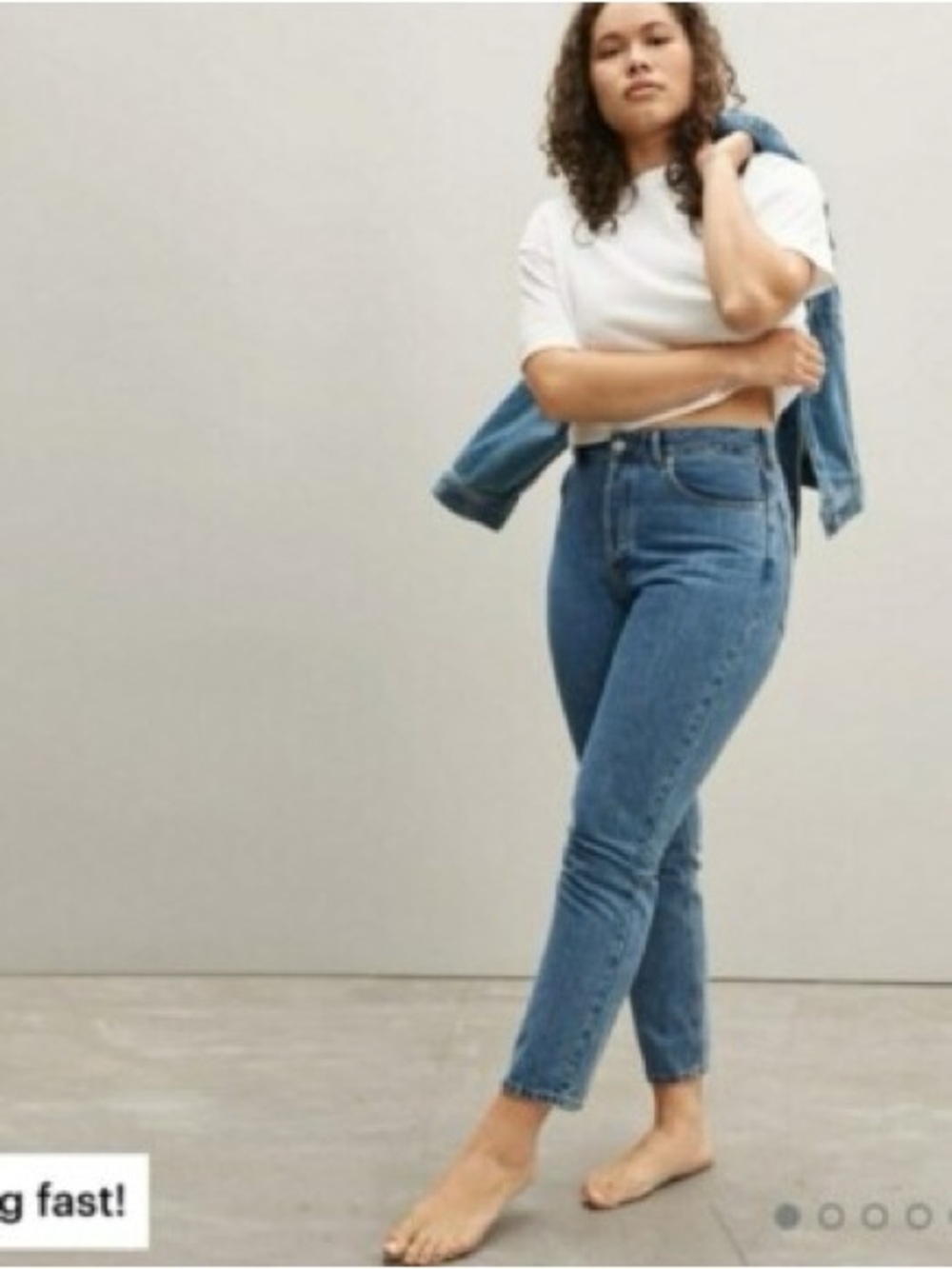 NWT Everlane The Curvy 90s Cheeky Straight Jean 27 Crop Vintage Mid Blue